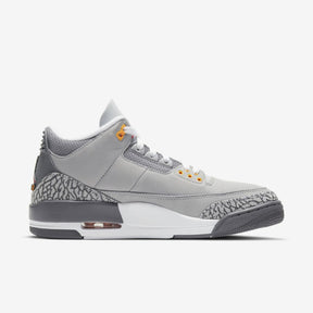 Nike Air Jordan 3 "Cool Grey"