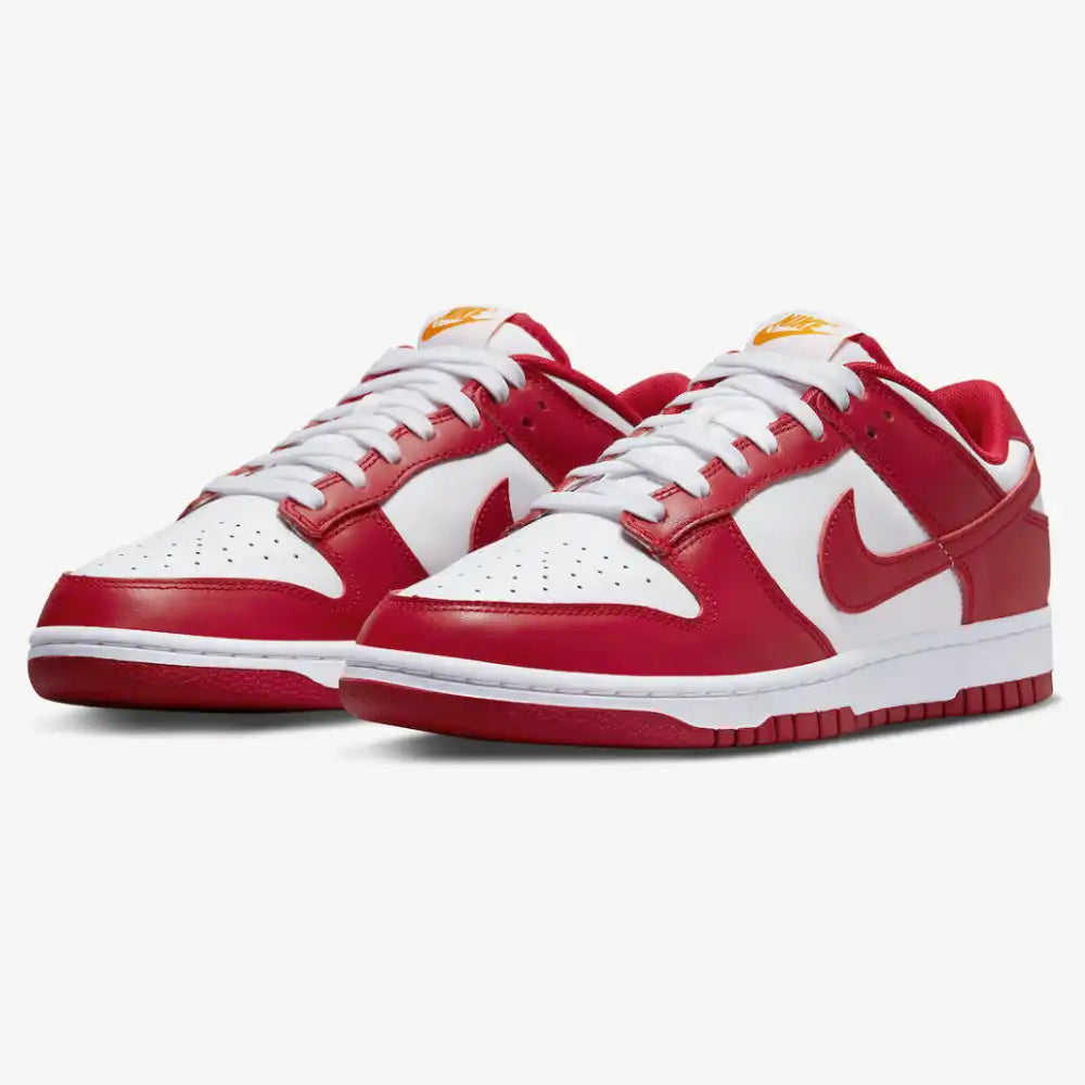 Nike Dunk Low "Gym"