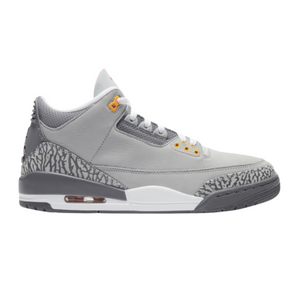 Nike Air Jordan 3 "Cool Grey"