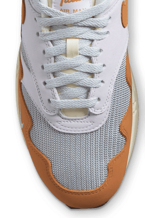 Nike Air Max 1 PATTA Waves Monoarch